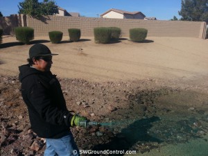 Mesa Weed Control Services